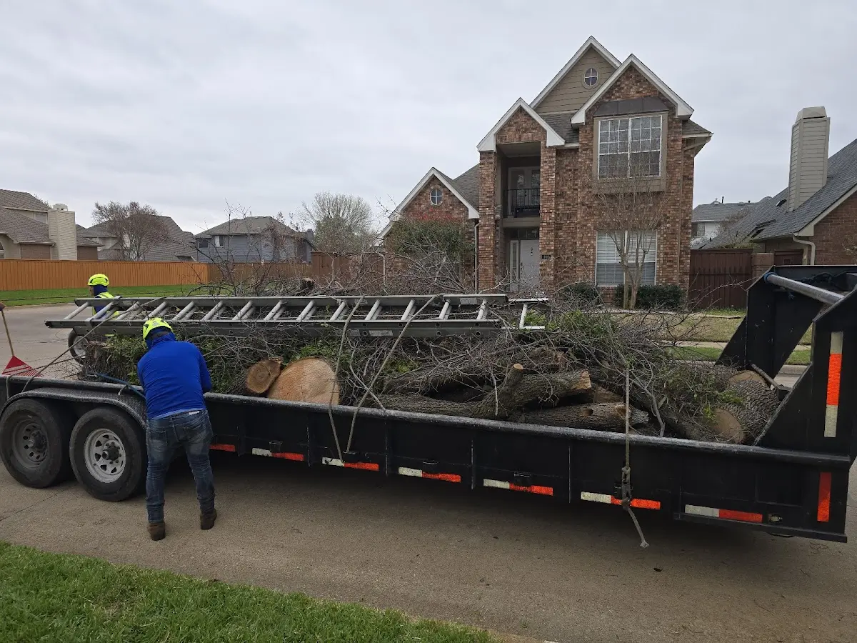 Expert Crown Reduction with proper safety equipment in Augusta